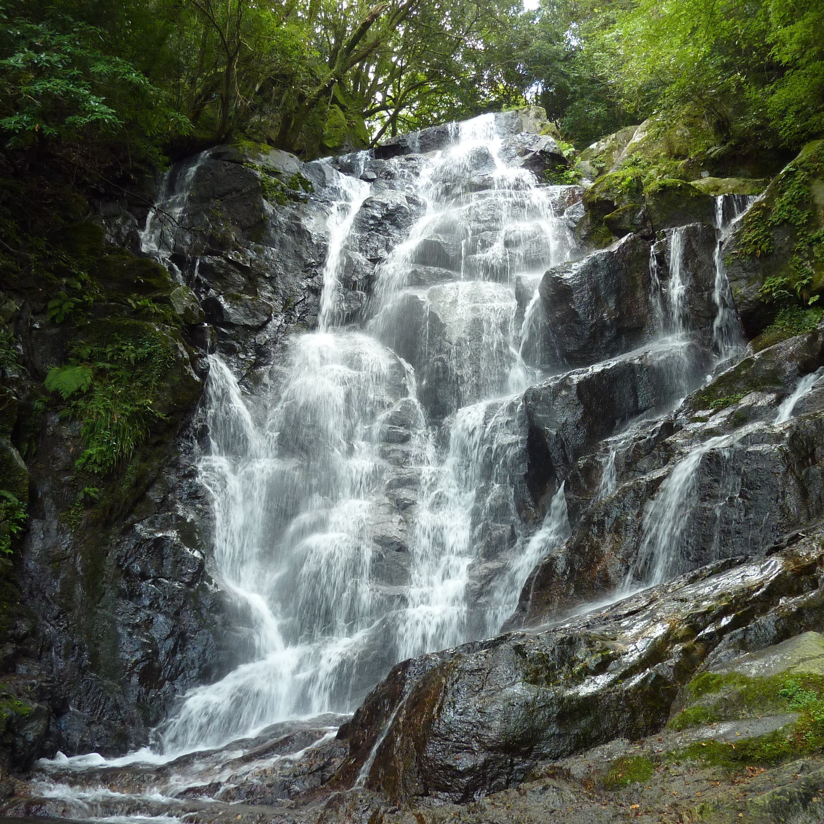 白糸の滝